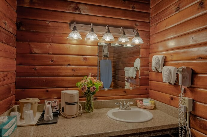 Imagen de la habitación del Hotel Antler Inn. Foto 20