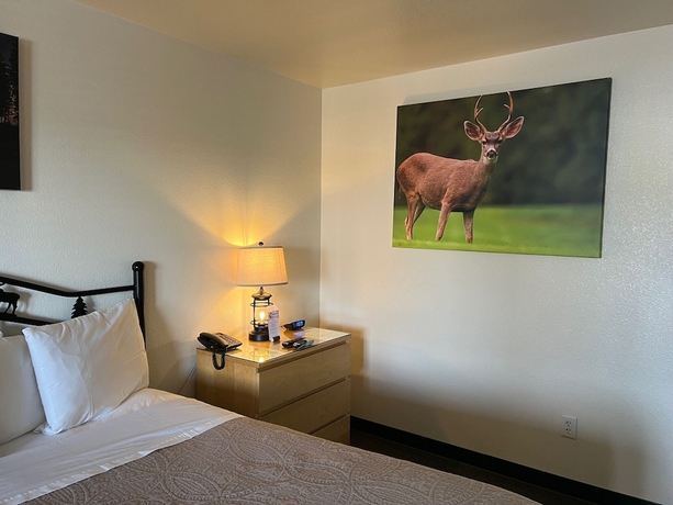 Imagen de la habitación del Hotel Antlers Inn, Chester. Foto 6