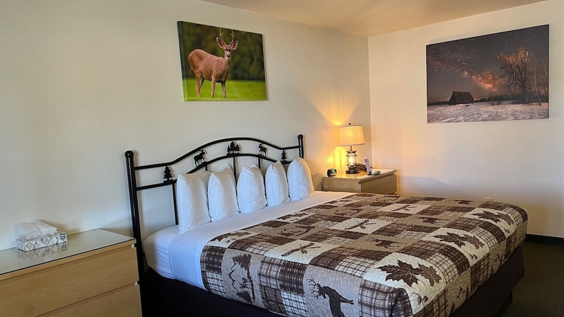 Imagen de la habitación del Hotel Antlers Inn, Chester. Foto 8
