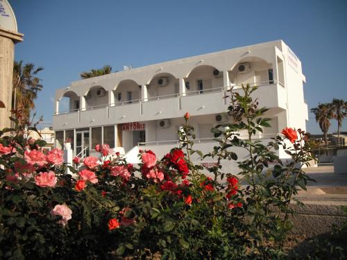 Imagen general del Hotel Antonis. Foto 5