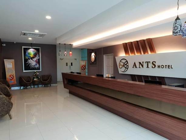 Imagen de los interiores del Hotel Ants. Foto 19