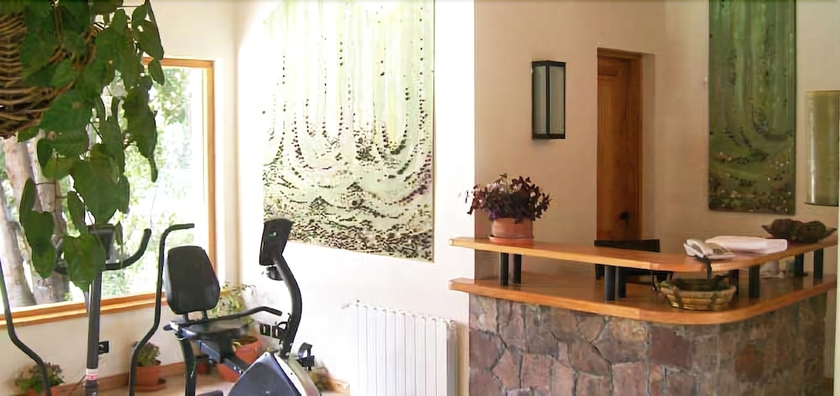 Imagen de los interiores del Hotel Antuquelen. Foto 13