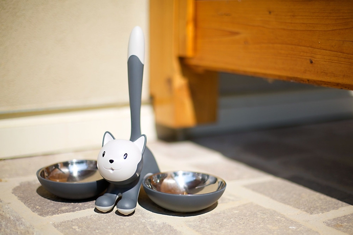 Imagen de la habitación del Hotel Anusca Palace. Foto 10