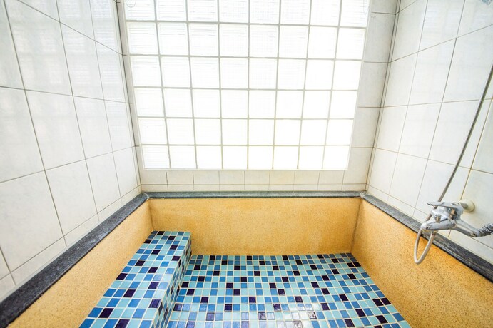 Imagen de la habitación del Hotel Aoike Hot Spring. Foto 24