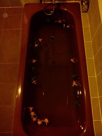 Imagen de la habitación del Hotel Aonang Eco Inn. Foto 2