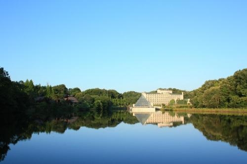 Imagen general del Hotel Aoyama Garden Resort Rosa Blanca. Foto 2