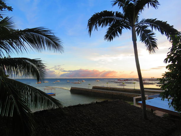 Imagen de la habitación del Hotel Aozora Seaside Mactan. Foto 4