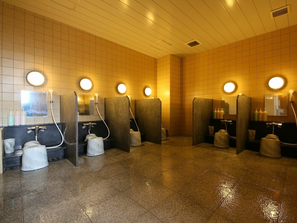 Imagen de la piscina del Hotel Apa Chiba Yachiyo Midorigaoka. Foto 19