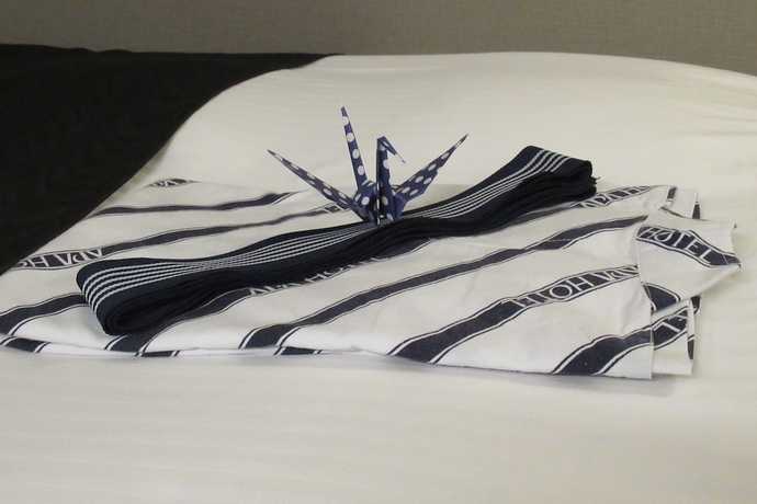 Imagen de la habitación del Hotel Apa Miyazaki Miyakonojo Station. Foto 6