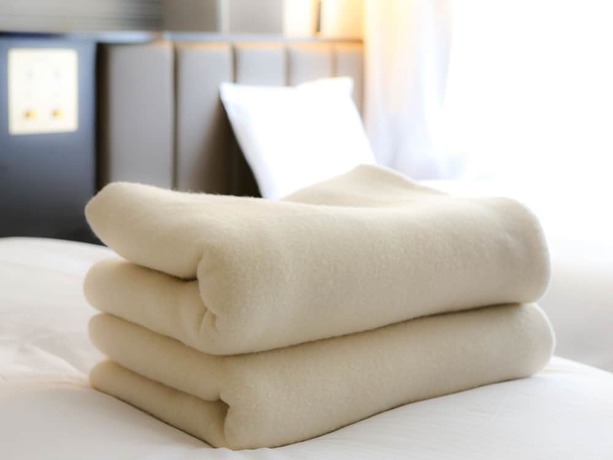 Imagen de la habitación del Hotel Apa Miyazaki-eki Tachibanadori. Foto 8