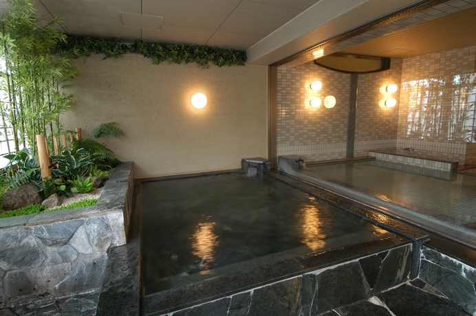Imagen de la piscina del Hotel Apa Osaka Tenma. Foto 16