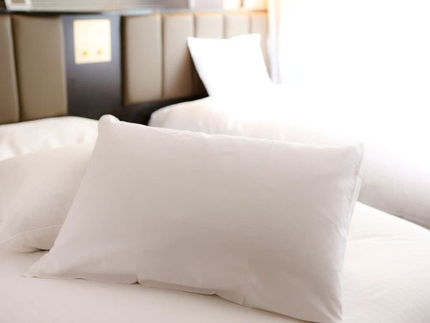 Imagen de la habitación del Hotel Apa Pride Akasaka Kokkaigijidomae. Foto 13