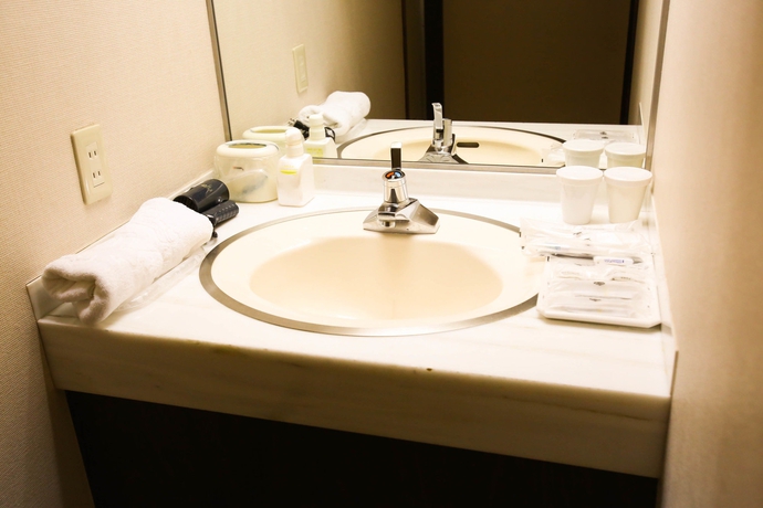 Imagen de la habitación del Hotel Apa Sapporo Odori Ekimae Minami. Foto 6