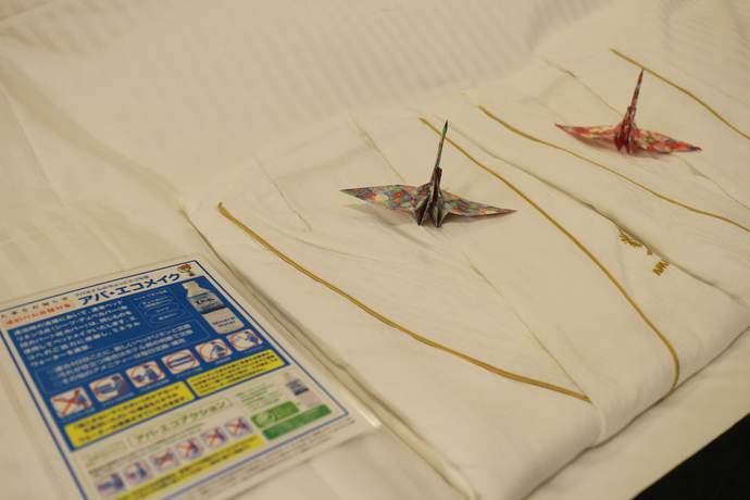 Imagen de la habitación del Hotel Apa Tkp Tokyo Nishikasai. Foto 2