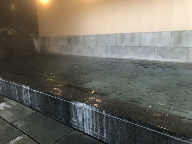 Imagen de la piscina del Hotel Apa Toyama - Ekimae. Foto 18