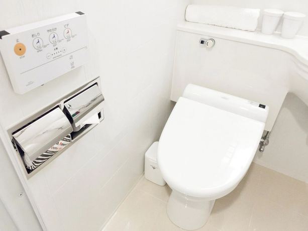 Imagen de la habitación del Hotel Apa Tsukuba-bampakukinenkoen-ekimae. Foto 3