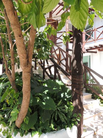 Imagen de la habitación del Hotel Apart Casaejido. Foto 5