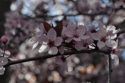 Imagen general del Hotel Apart La Bora. Foto 28