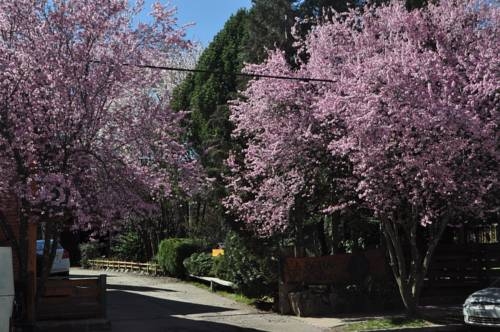 Imagen general del Hotel Apart La Bora. Foto 29