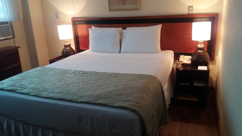Imagen de la habitación del Hotel Apart-Hotel Suites Reforma. Foto 4
