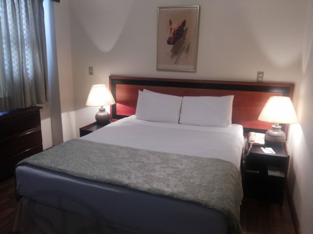Imagen de la habitación del Hotel Apart-Hotel Suites Reforma. Foto 11