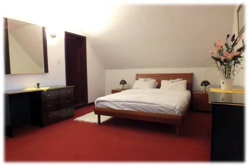 Imagen de la habitación del Hotel ApartKopaonik. Foto 6