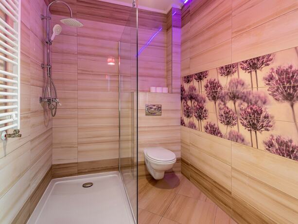 Imagen general del Hotel Apartament Simona Brasov. Foto 14