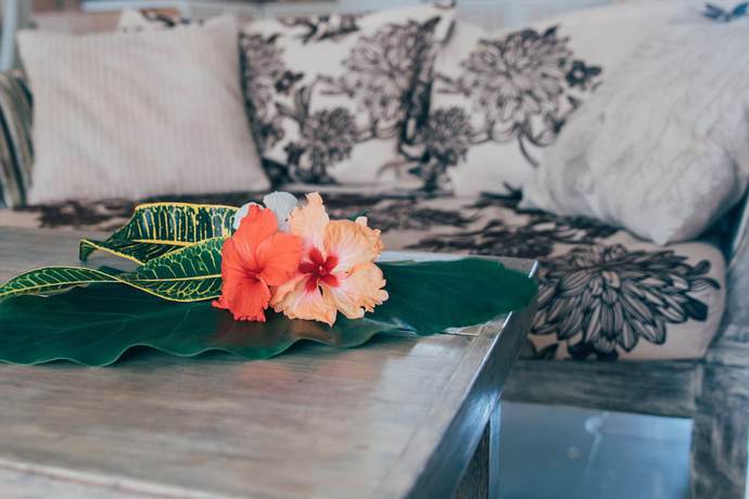 Imagen de la habitación del Hotel Apartamento Paje Beach. Foto 3