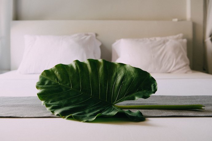 Imagen de la habitación del Hotel Apartamento Paje Beach. Foto 14