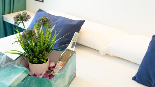 Imagen general del Hotel Apartamento Playa de la Plata. Foto 10