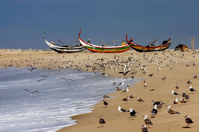 Imagen de los exteriores del Hotel Apartamento Solverde. Foto 5