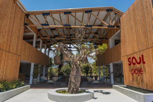 Imagen de la habitación del Hotel Apartamento Zanzibar Stays - Paje Accommodation Collection. Foto 12