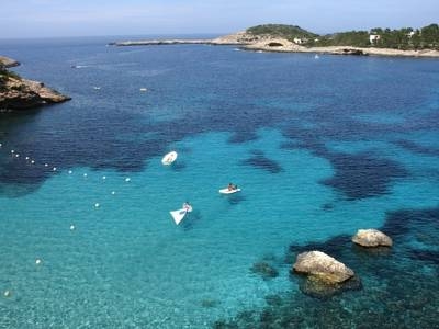 Imagen de la habitación del Hotel Apartamentos Australasia Playa. Foto 11