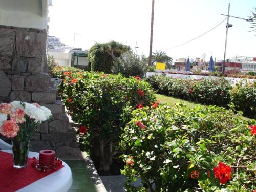 Imagen general del Hotel Apartamentos Florida Gran Canaria. Foto 16