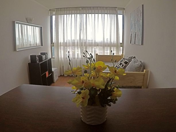 Imagen de la habitación del Hotel Apartamentos Plaza Bulnes. Foto 10