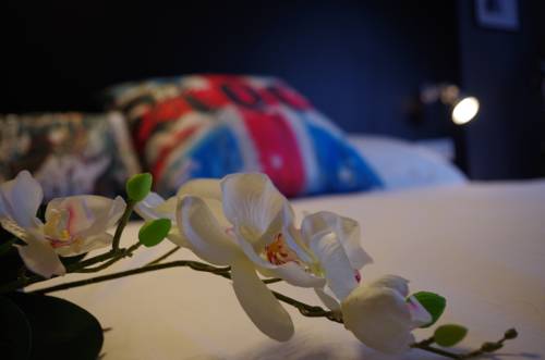 Imagen de la habitación del Hotel Apartamentos Rock Star. Foto 7