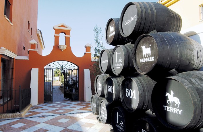 Imagen general del Hotel Apartamentos Soho Boutique Vistahermosa. Foto 1