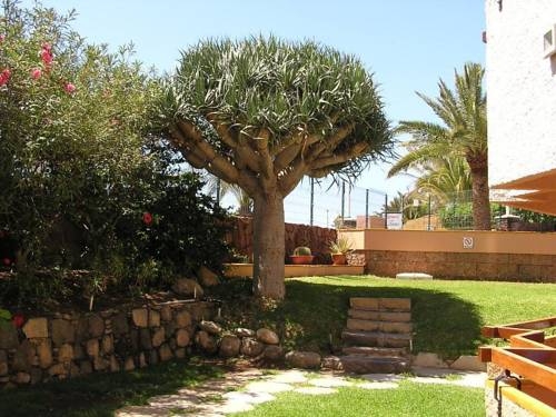 Imagen general del Hotel Apartamentos Terrazamar. Foto 5