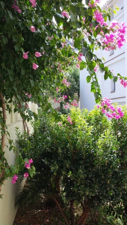 Imagen general del Hotel Apartaments Josep Pla. Foto 4