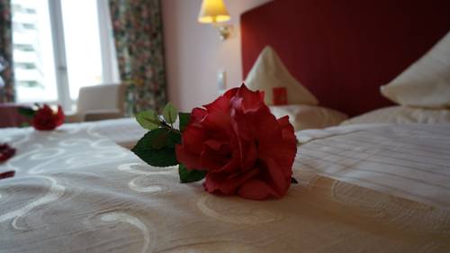 Imagen de la habitación del Hotel Aparthotel Am Meer. Foto 7