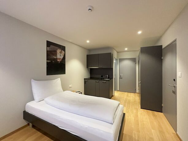 Imagen de la habitación del Hotel Aparthotel Beinwil am See. Foto 6
