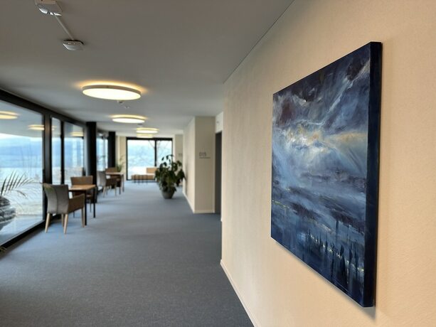 Imagen general del Hotel Aparthotel Beinwil am See. Foto 2