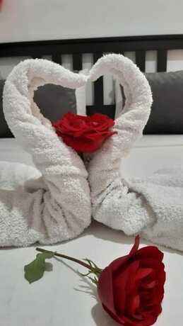 Imagen de la habitación del Hotel Aparthotel Genova. Foto 13