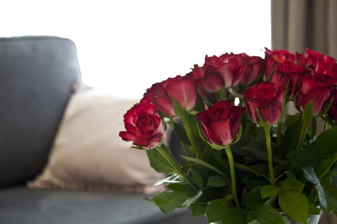 Imagen de la habitación del Hotel Aparthotel Miedzyzdroje. Foto 2