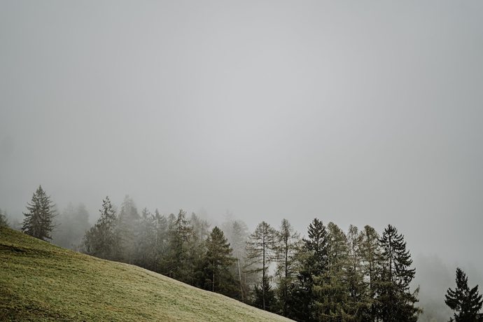 Imagen de los exteriores del Hotel Aparthotel My Daum. Foto 11