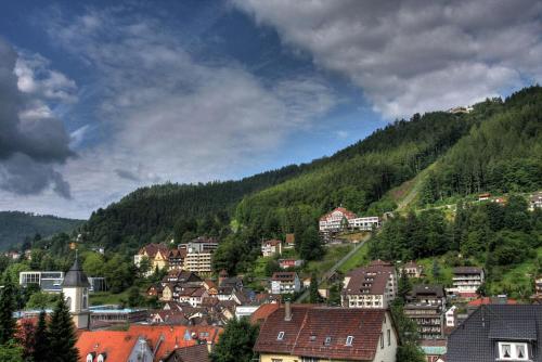 Imagen general del Hotel Aparthotel Schwarzwald Panorama. Foto 1