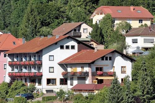 Imagen general del Hotel Aparthotel Schwarzwald Panorama. Foto 3