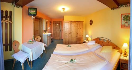 Imagen general del Hotel Aparthotel Sonnleitn. Foto 18