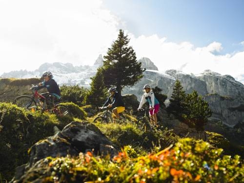 Imagen general del Hotel Aparthotel Tschanun Garni. Foto 24