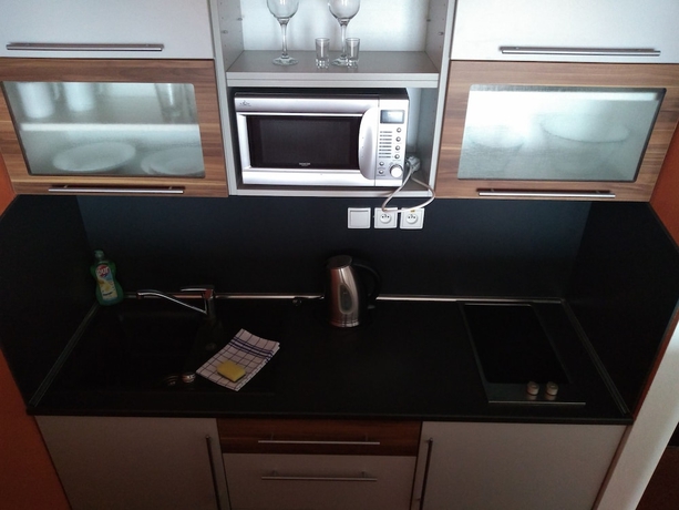 Imagen de la habitación del Hotel Apartm&aacute;nov&yacute; Dom Fam&iacute;lia Smokovec. Foto 7
